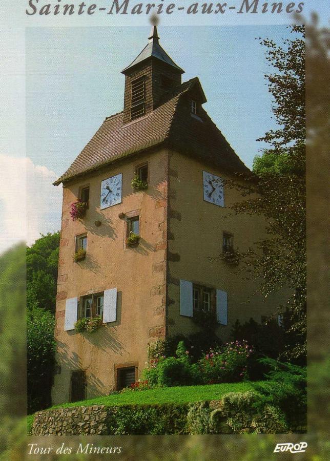 Les Lilas Sainte-Marie-aux-Mines Exterior foto